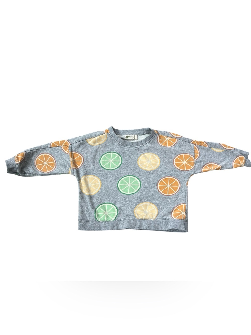 Kids Gray Citrus Slice Sweatshirt - Fun Fruit Print